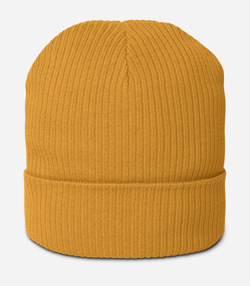 Organic Ribbed Beanie | Atlantis